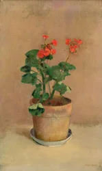 Geraniums in a Pot, c.1905
